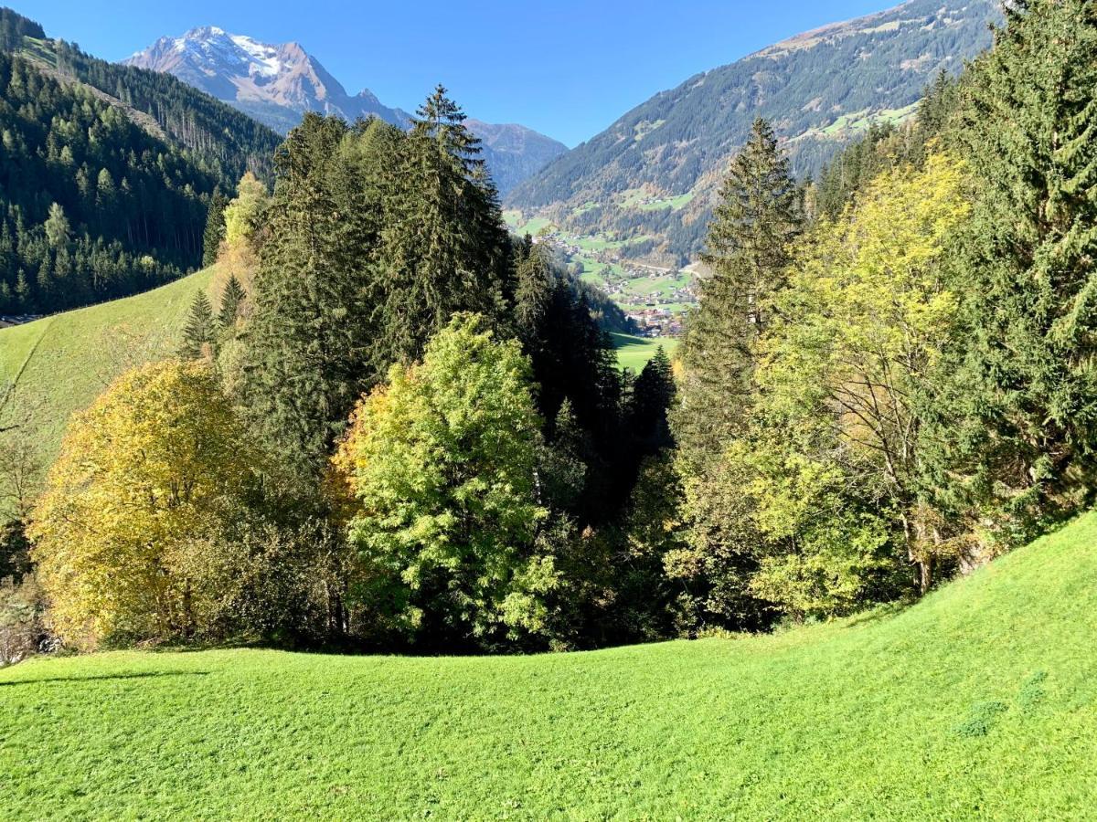 Natur Zeit - Alpine Garden Apartments Mayrhofen Luaran gambar